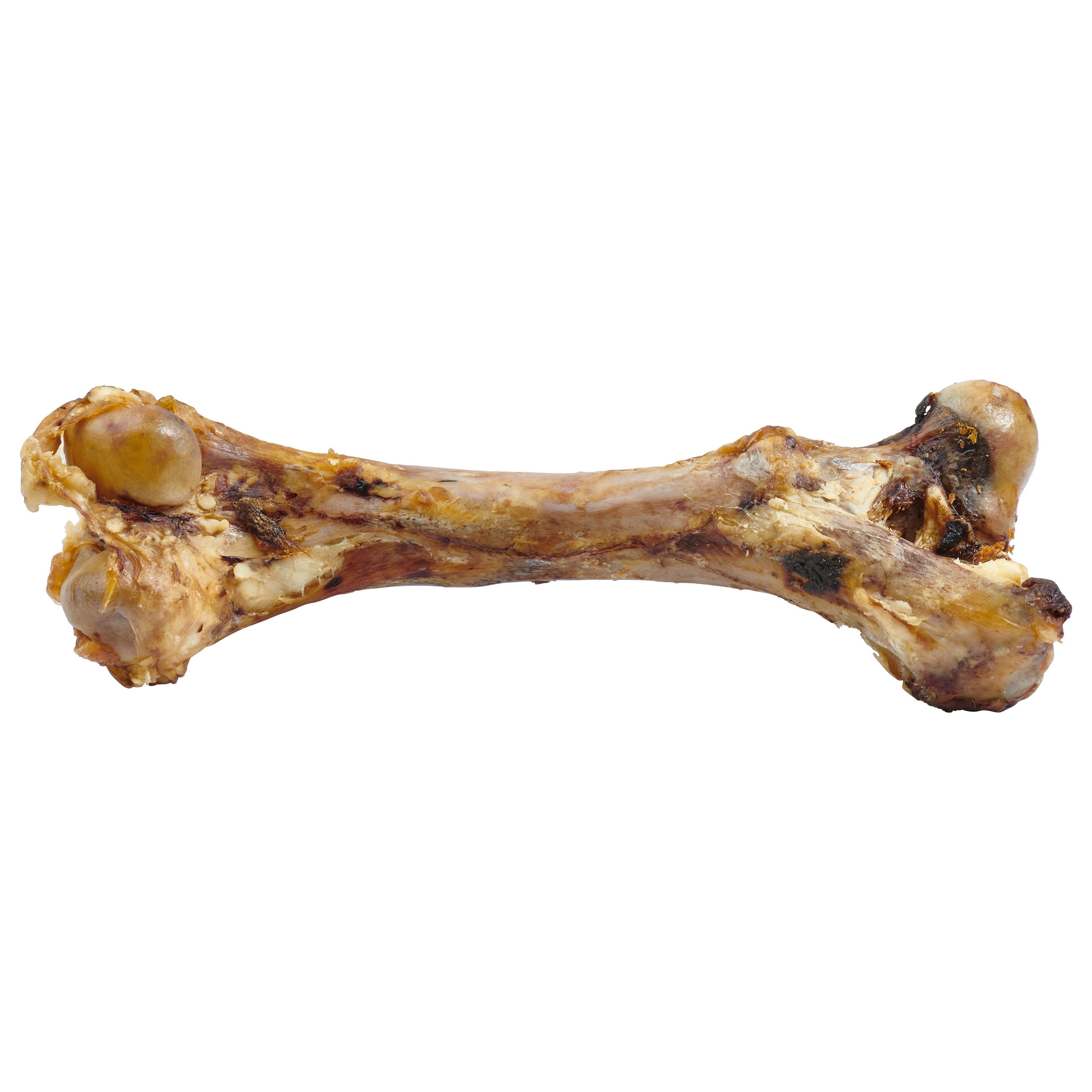 Beef Femur Bone for Large Dogs