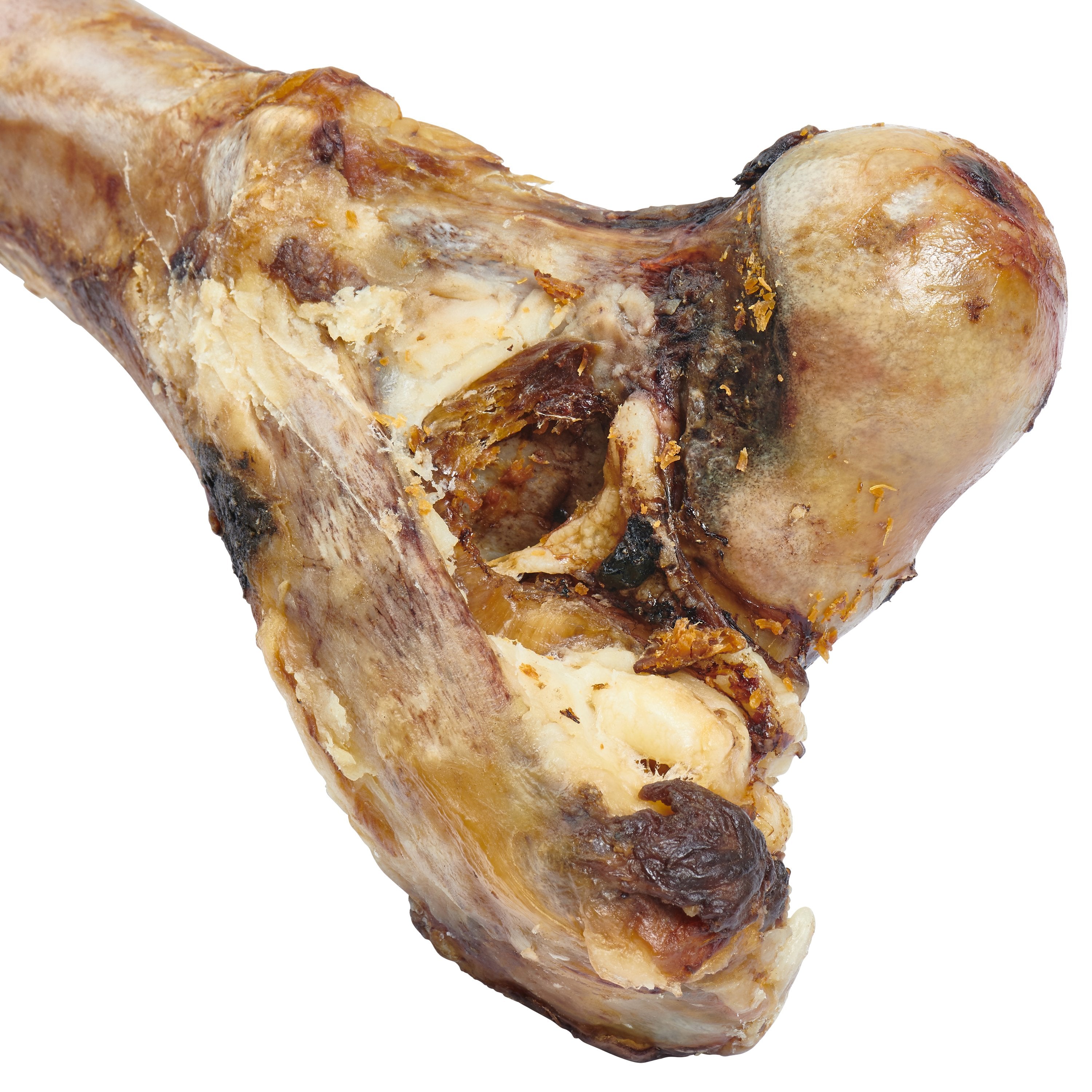 Beef Femur Bone for Large Dogs