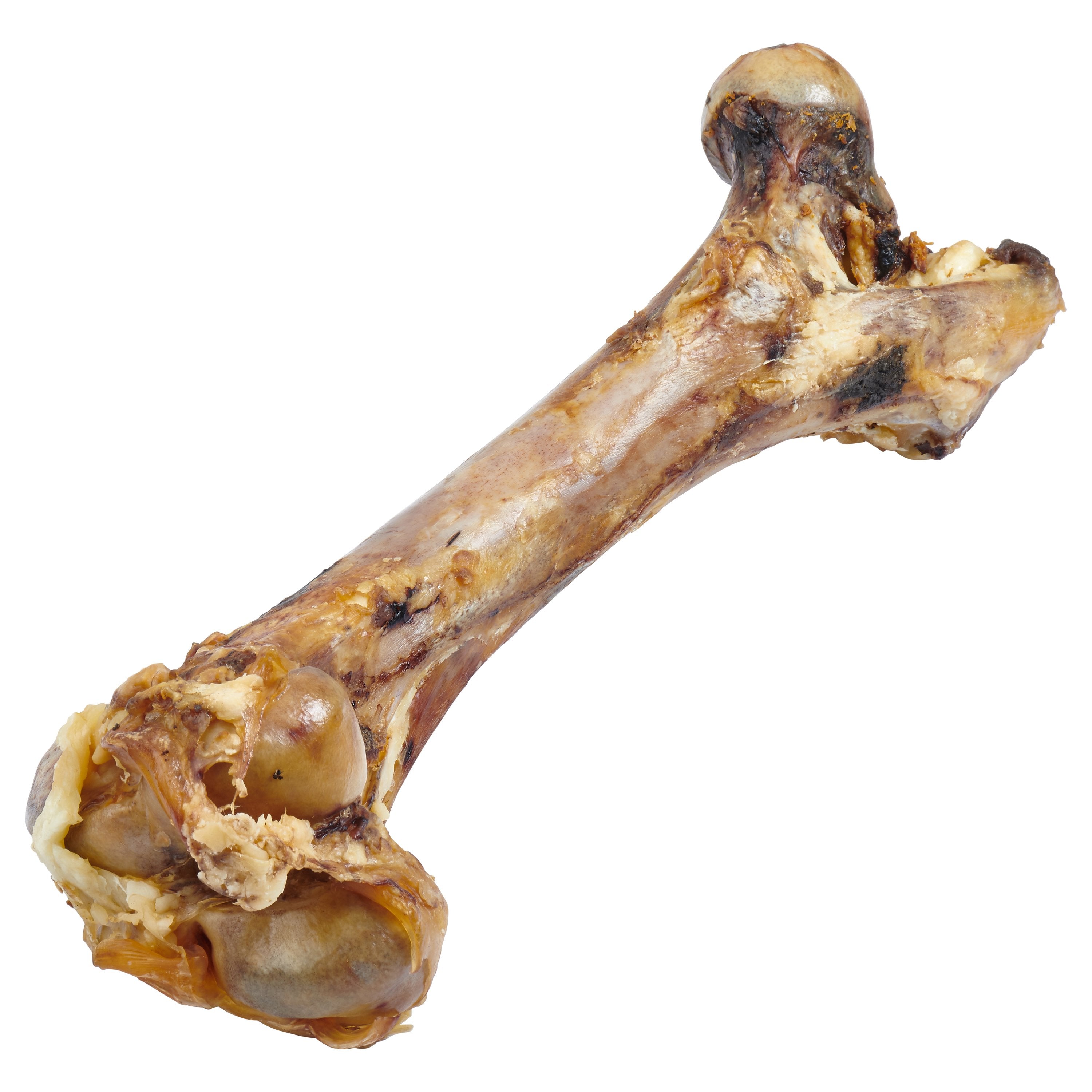 Beef Femur Bone for Large Dogs