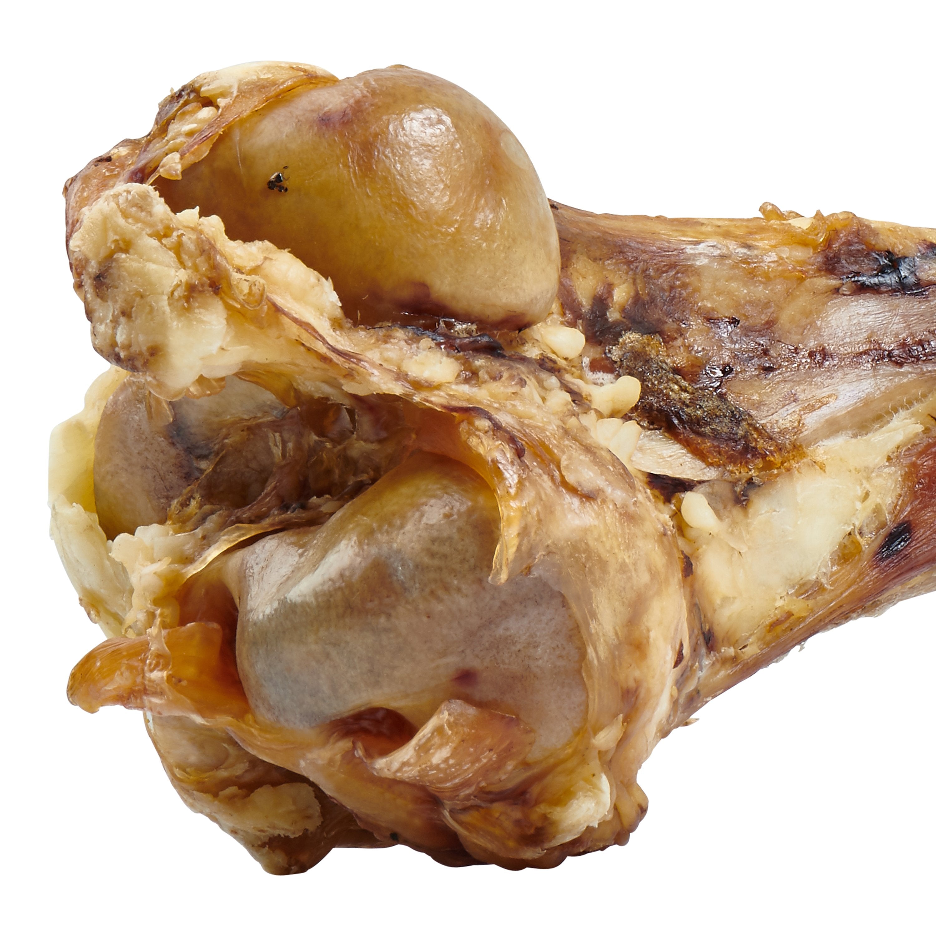 Beef Femur Bone for Large Dogs