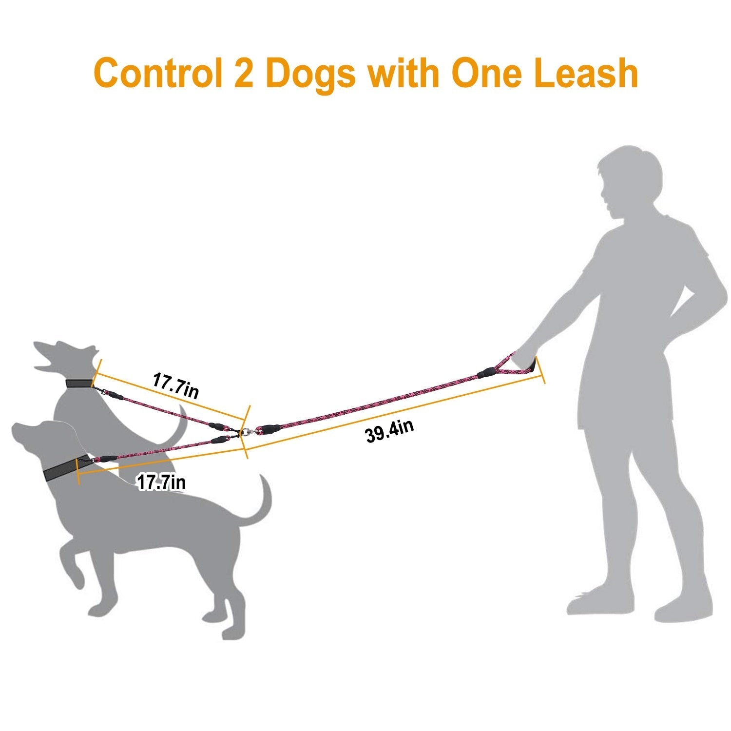 Double Dogs Leash