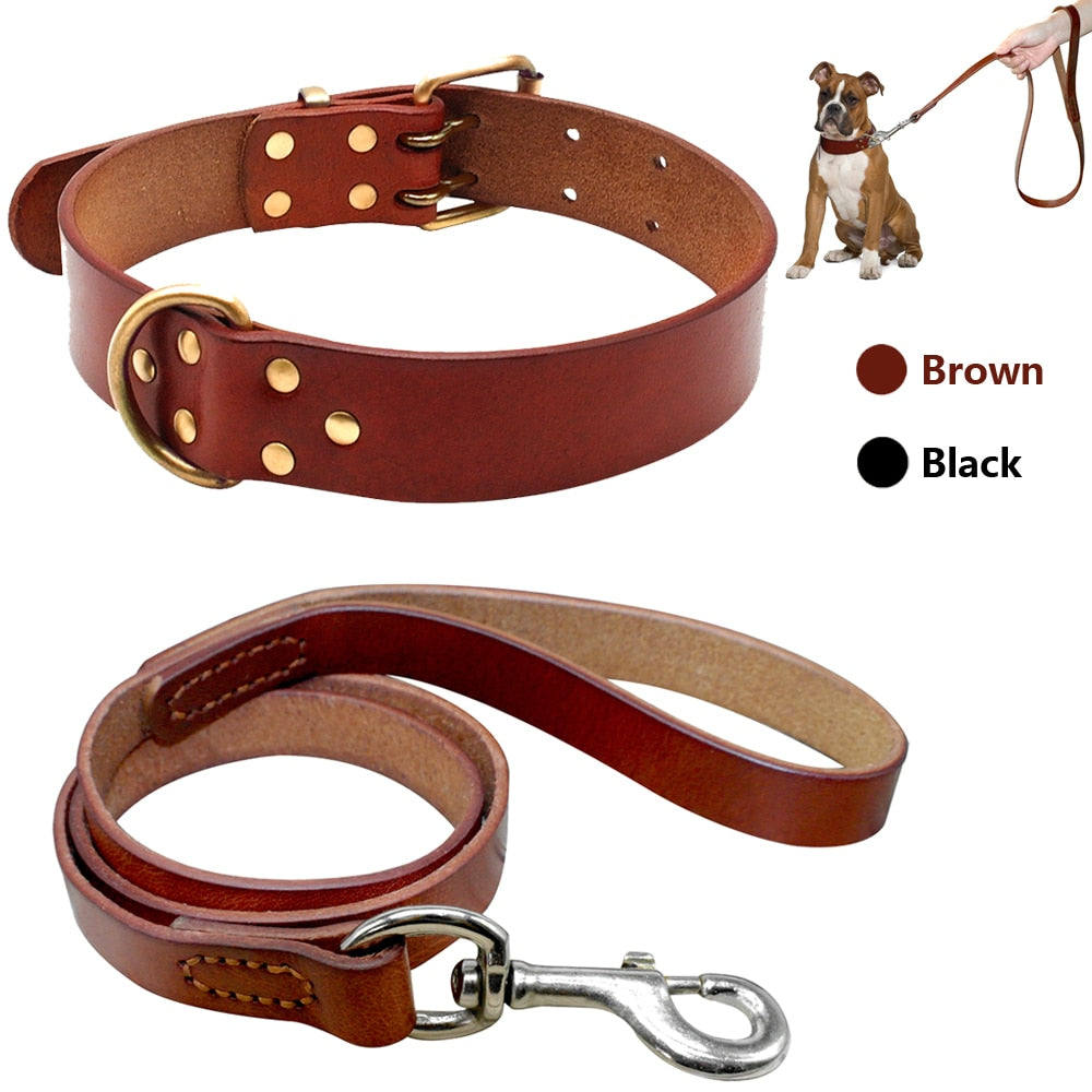 Genuine Leather Dogs Collar Pet